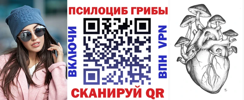 Галлюциногенные грибы Psilocybe  Мамоново 